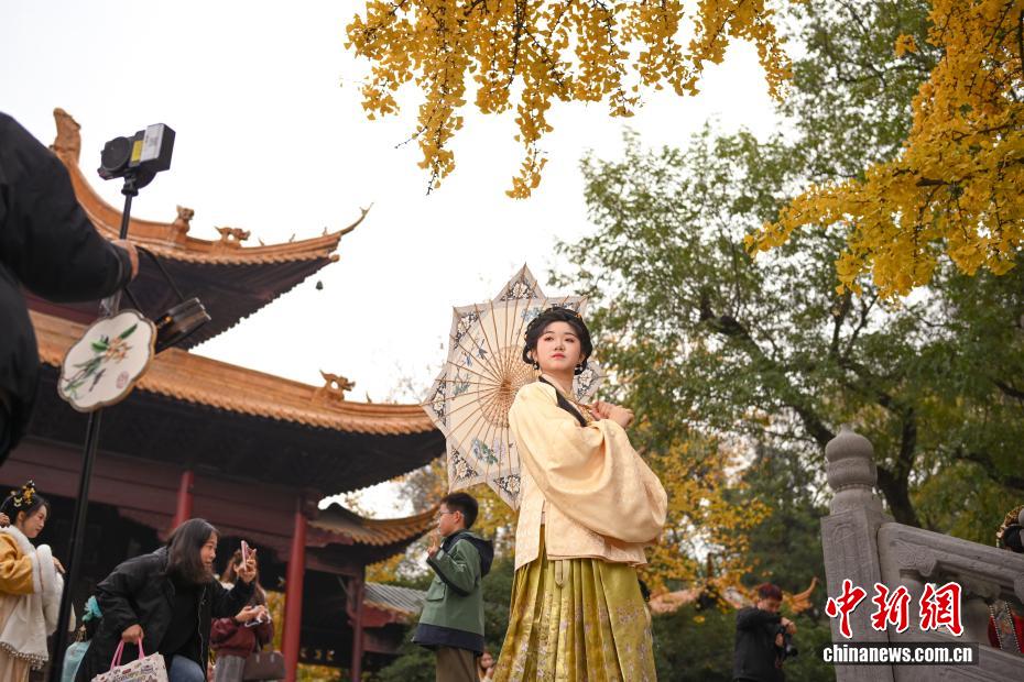 Nanjing'deki Chaotian Sarayı, Erken Kışın Altın Ginkgo Ağaçlarıyla Büyülüyor