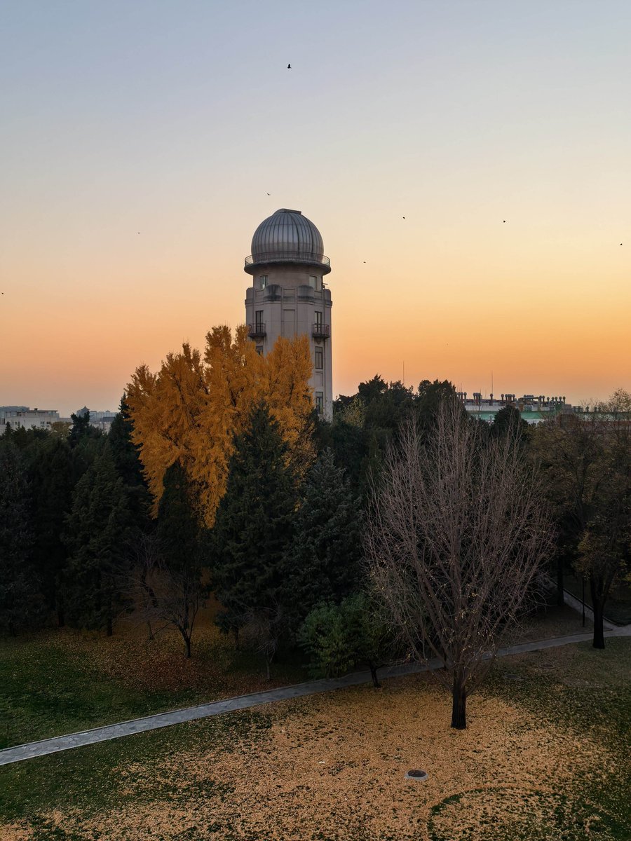 Tsinghua Üniversitesi'nde Akademik Dönem Sonu Heyecanı