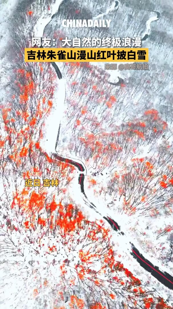 Jilin'deki Zhuque Dağı'nda Kızıl Sonbahar ve Erken Karın Büyüleyici Buluşması