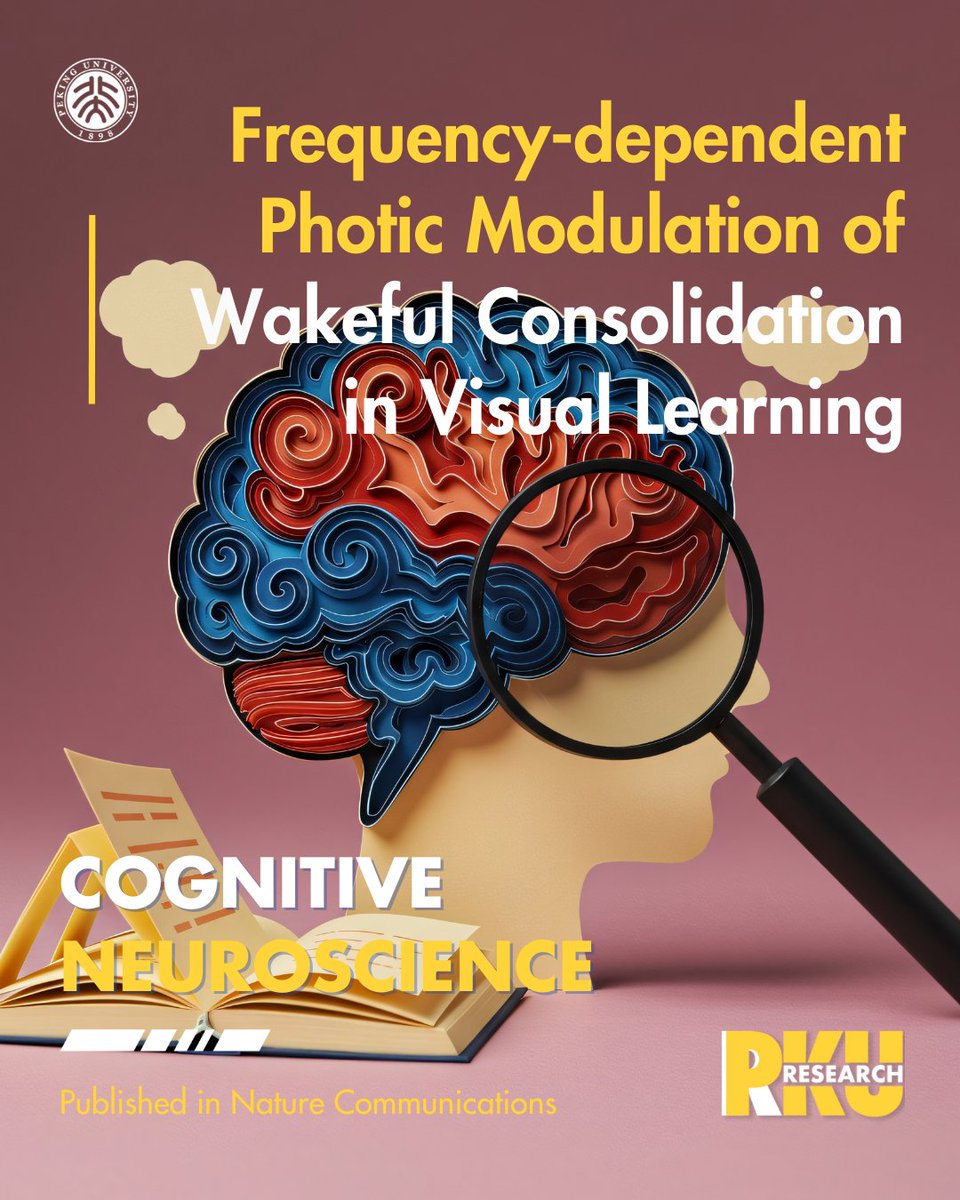 Peking Üniversitesi Araştırması: Uyanıkken Hafıza Güçlendirme Yöntemi Geliştirildi