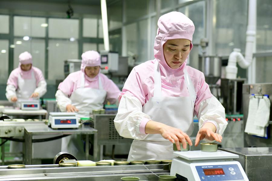 Caoxian County, Çin'in Pet Ekonmisi Devinde Küresel Güç Olma Yolunda İlerliyor