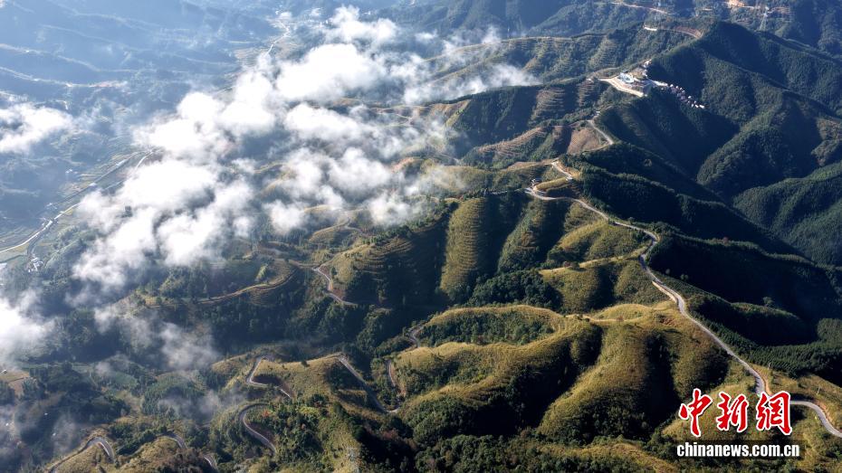Sanjiang Dong Özerk İlçesi'nde Çay Plantasyonu Bulut Denizine Büründü
