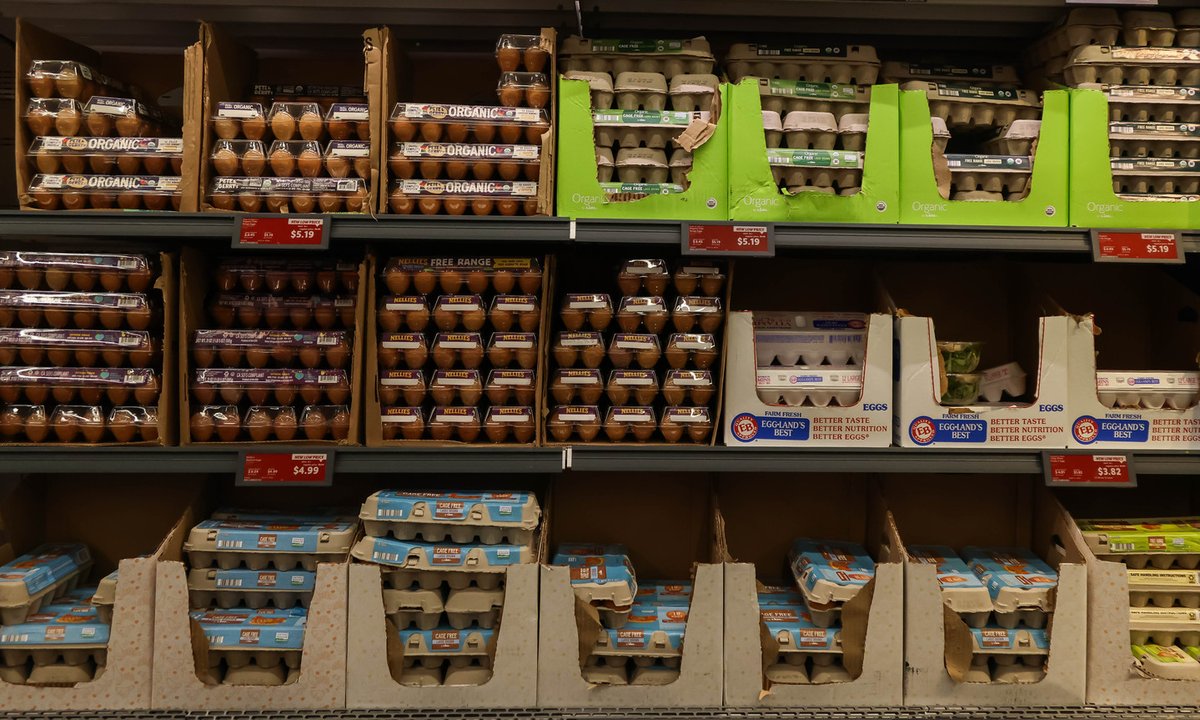 ABD'de Geri Çağrılan Yumurtalarla İlişkili Salmonella Salgını: 100'den Fazla Kişi Hastalandı
