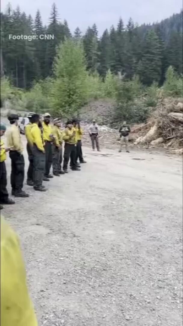 Orman Yangınıyla Mücadele Ederken Gözaltına Alınan İtfaiyeciler