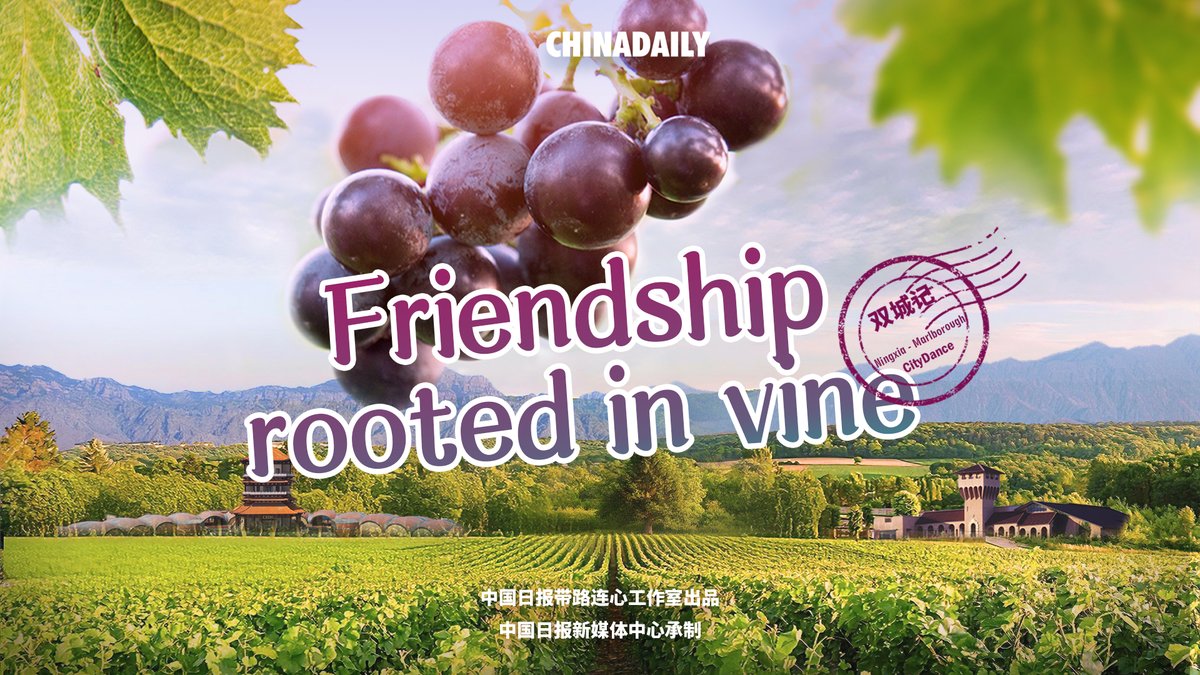 Marlborough ve Ningxia Bölgesi Arasında Meydana Gelen Olumlu İş Birliği
