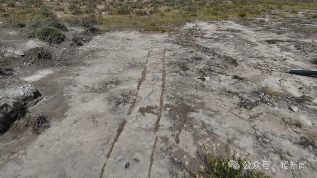 Çin'de Dünyanın En Hızlı Koşan Orta Boy Etobur Dinozor İzleri Keşfedildi