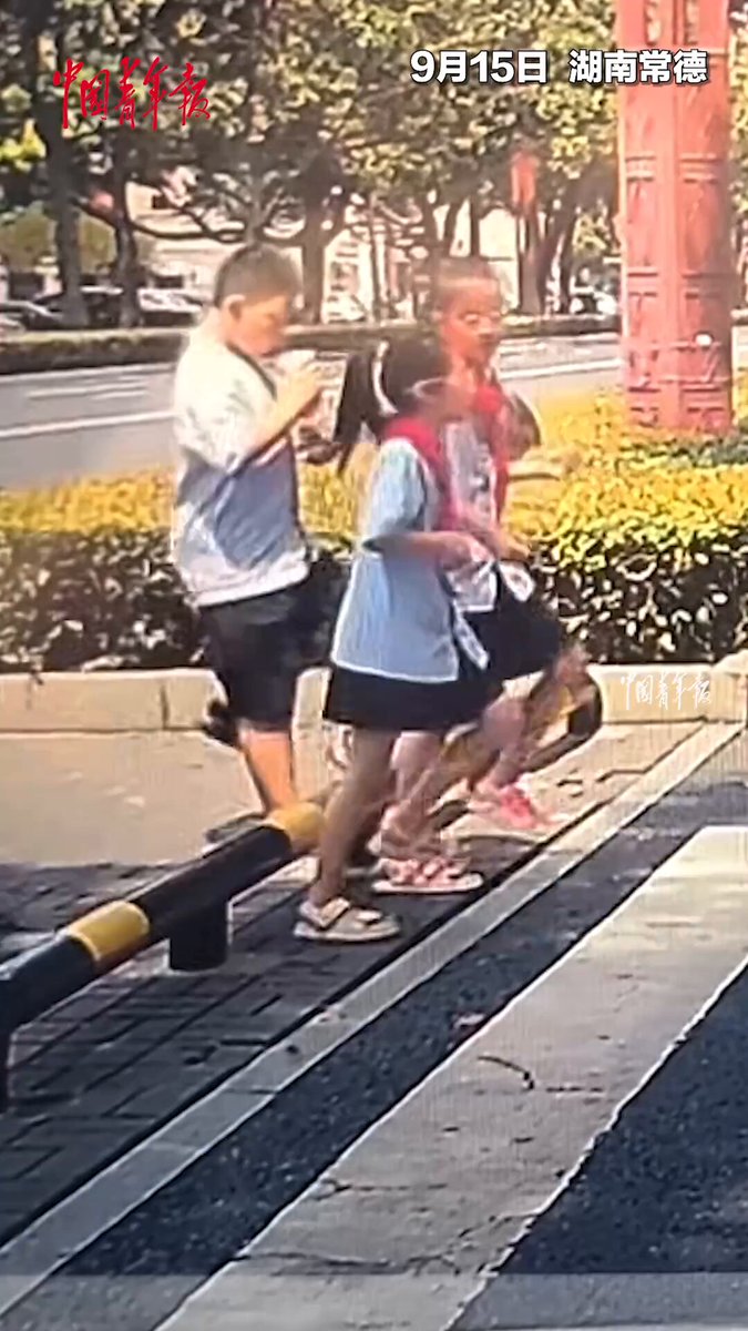Çin'de Sürücünün Yaya Önceliğine Saygısı İlginç Bir Tepkiye Yol Açtı
