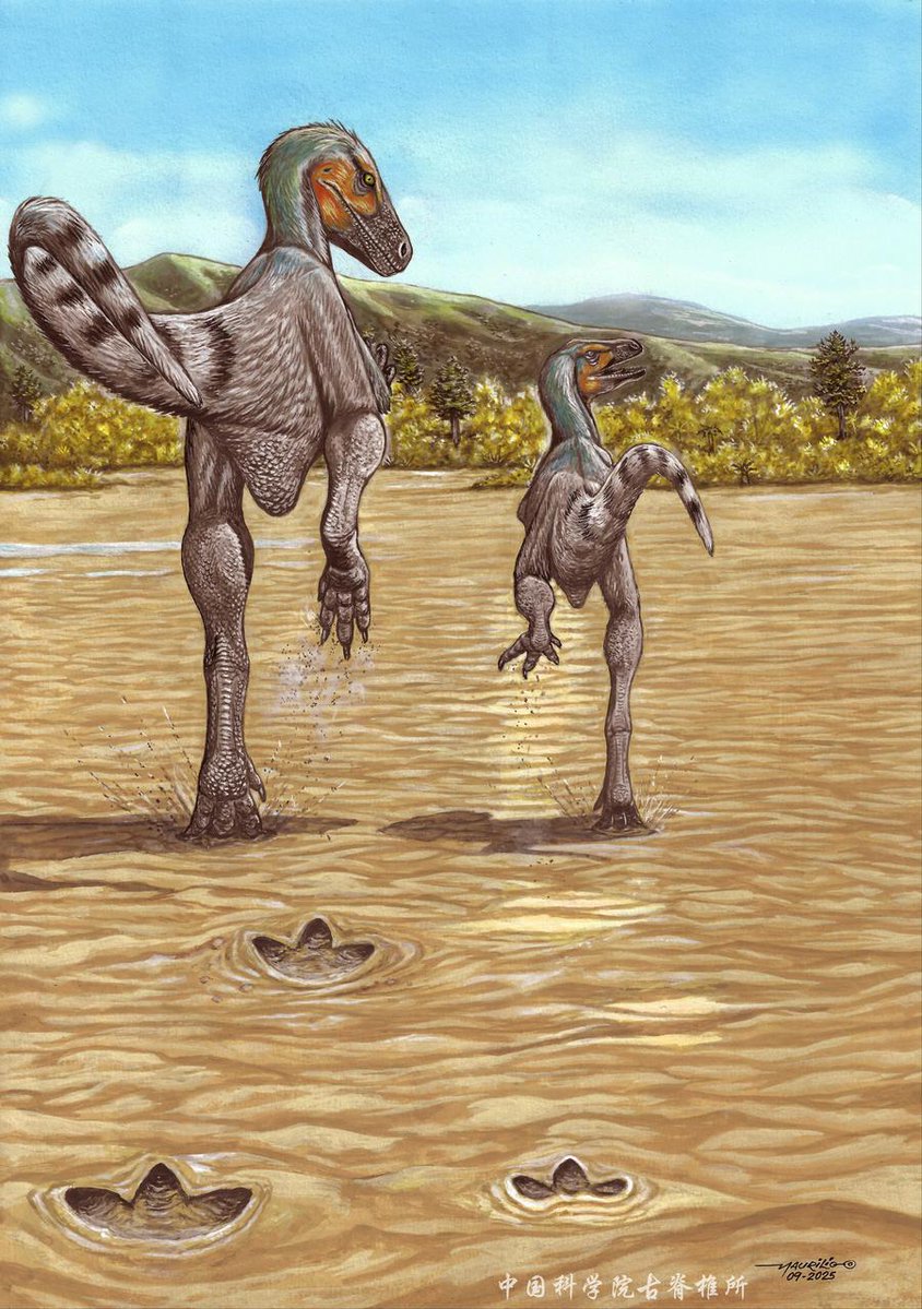 Kretase Dönemi Theropod Dinozorlarının Hızları Araştırıldı