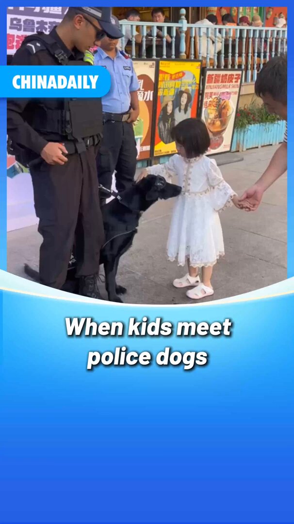Çin'de Görevdeki Polis Köpekleri Çocuklarla Buluştu