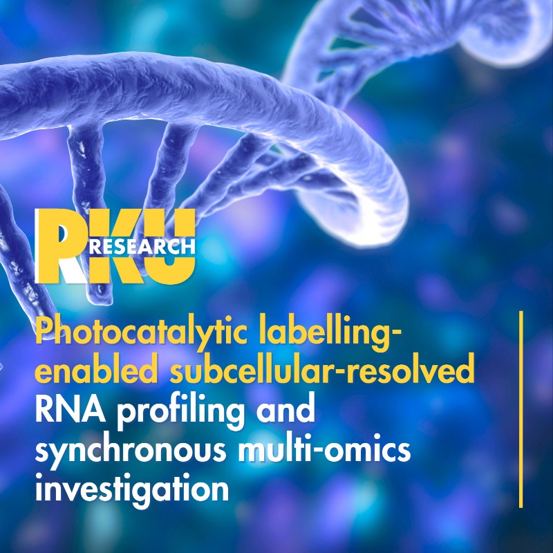 Peking Üniversitesi Araştırmacıları Mitokondri RNA’larını Genetik Değişiklik Olmadan İzlemeyi Başardı