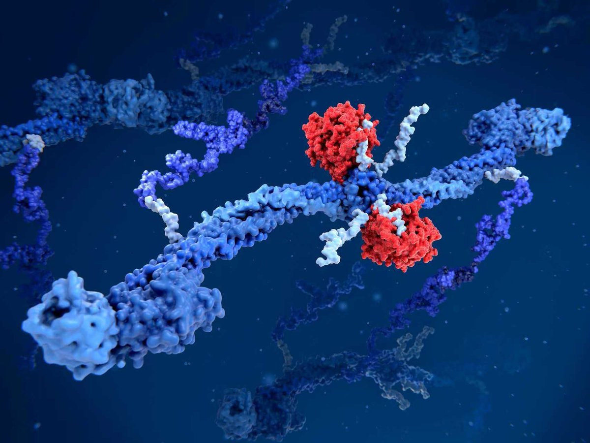 Tsinghua Üniversitesi'nden Nanopor Protein Dizilemede Yeni Keşif: Peptid Germe Yöntemi Yüksek Hassasiyet Sağlıyor