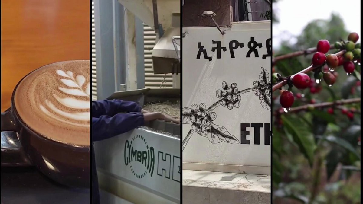 Çin'de Kahve Tüketimi Artıyor: Afrika Ülkeleri Pazarda Güçleniyor