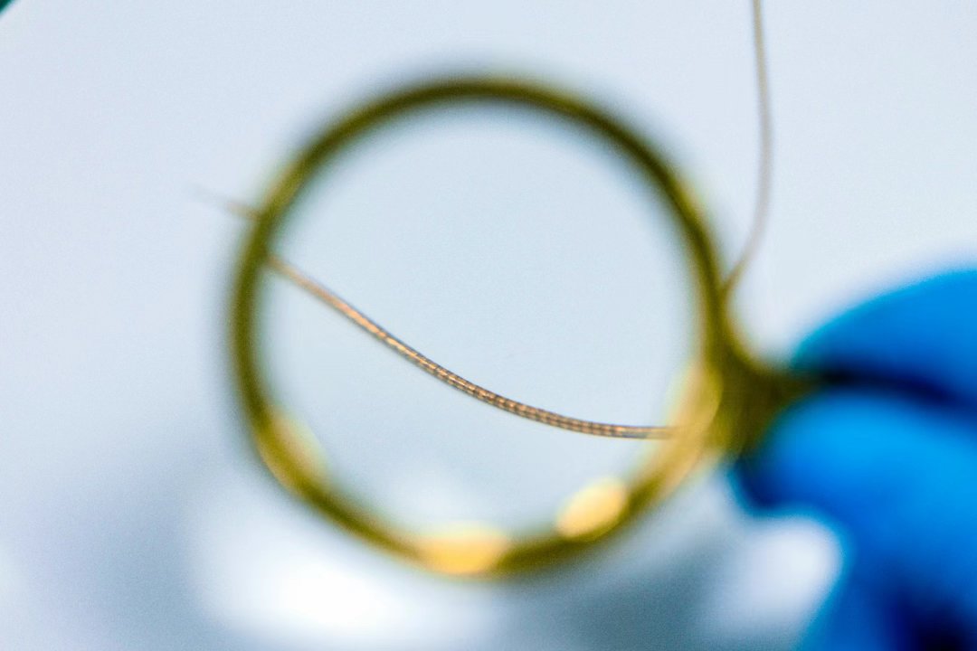 Çinli Araştırmacılardan Beyin-Bilgisayar Arayüzünde Yeni Dönem: NeuroWorm