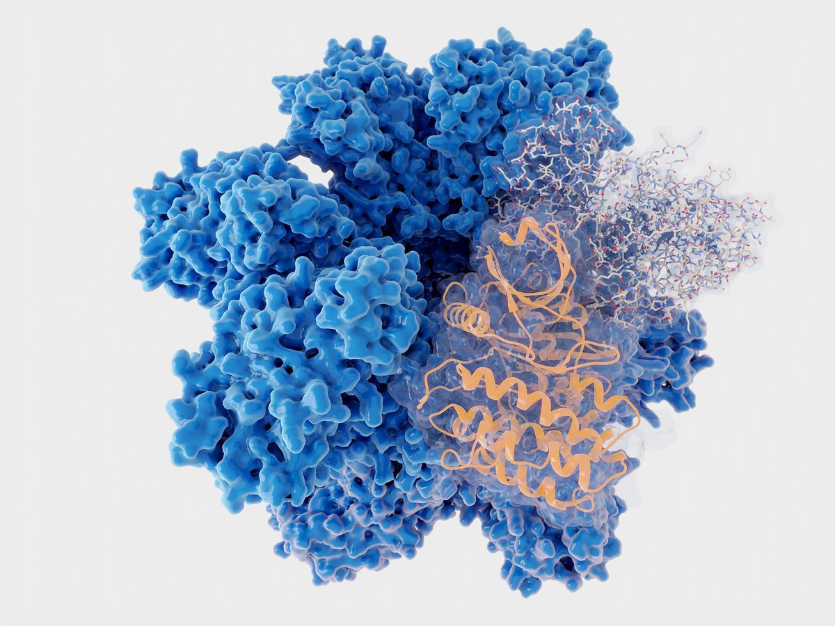 Tsinghua Üniversitesi'nden Devrim Niteliğinde Protein Evrimi Sistemi