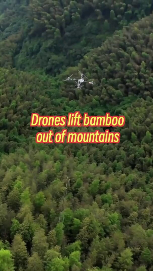 Sichuan'da Bambu Taşıma Devrimi: Drone'larla Verimlilik Artışı