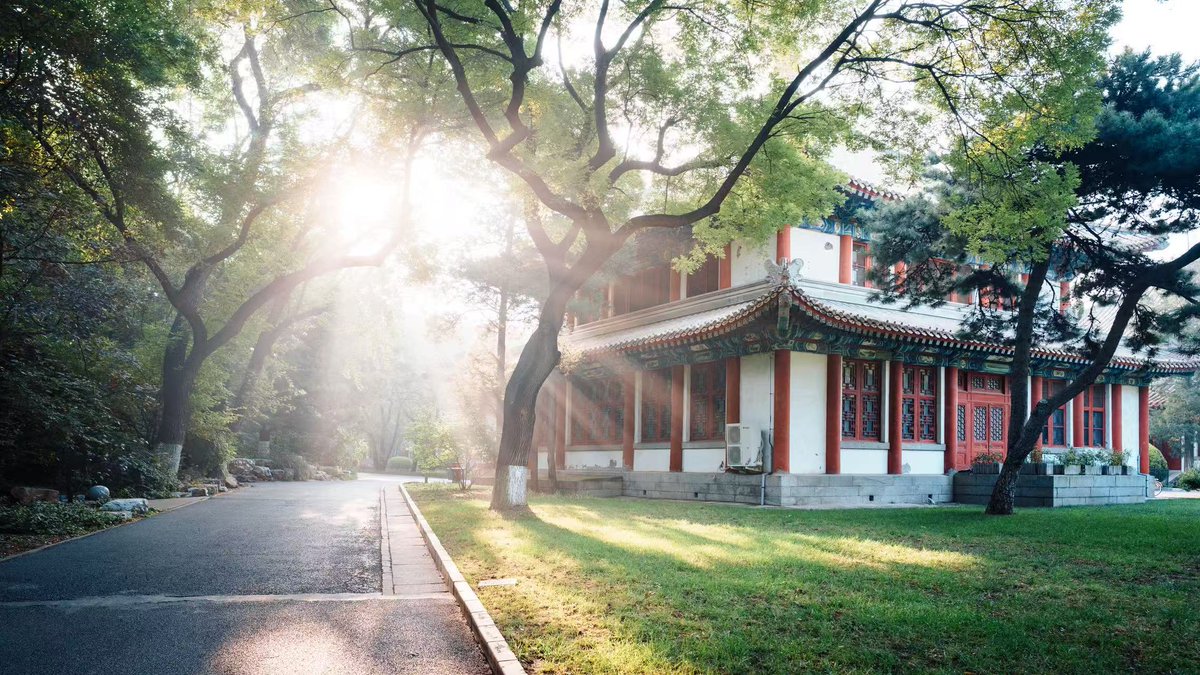 Peking Üniversitesi Kampüsünde Sonbahar Sisinden Sabah Selamı