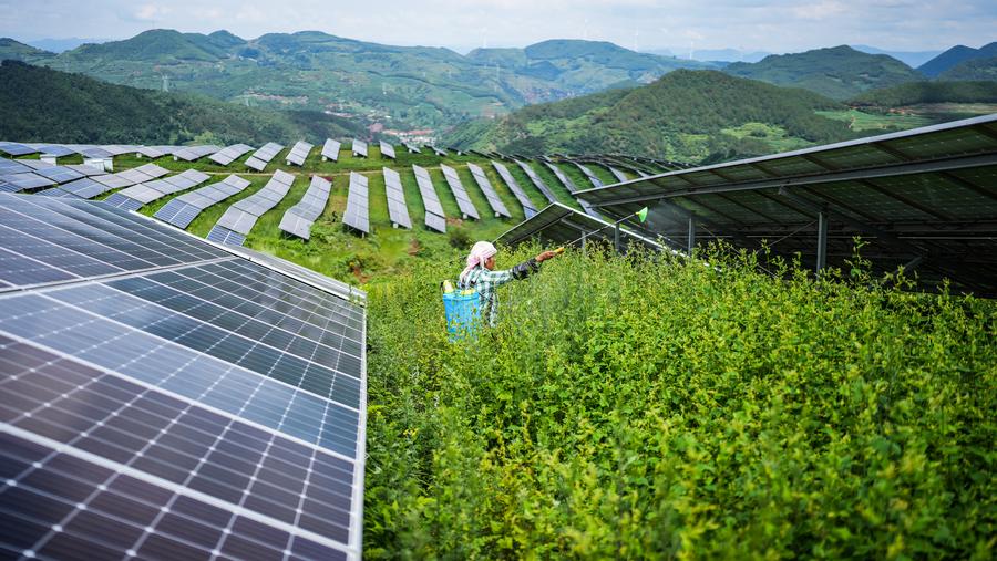 Çin'in Yenilenebilir Enerji Kapasitesi Rekor Kırıyor: Güneş ve Rüzgar Enerjisi Liderliğinde Büyüme
