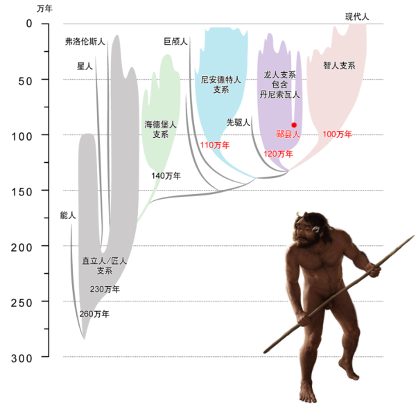 Çin'de 1 Milyon Yıllık İnsan Kafatası, İnsan Evrimine Yeni Bir Dal Ekledi: Homo longi