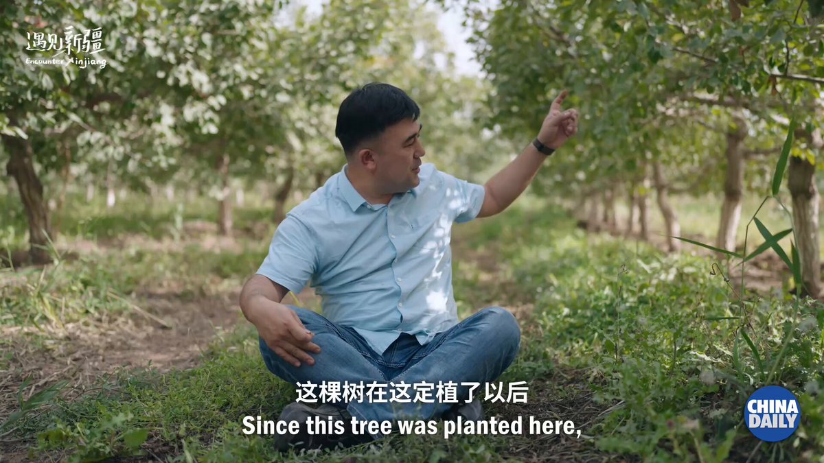 Xinjiang'da 70 Yıllık Eğitim Seferberliği: Ağaç Dikmek Çocuk Yetiştirmek Gibidir