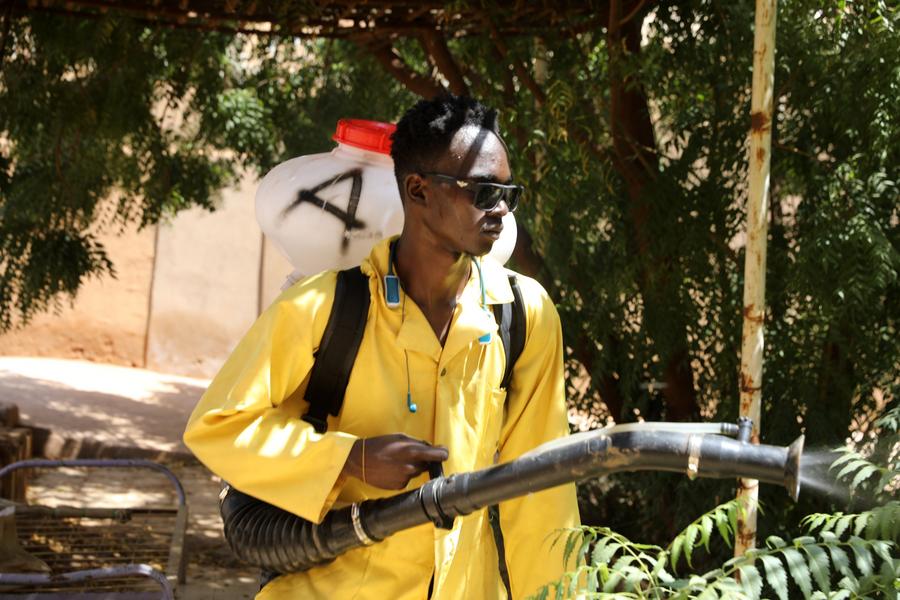 Sudan'da Büyük Dengue Salgını: Haftada 3.126 Vaka Bildirildi