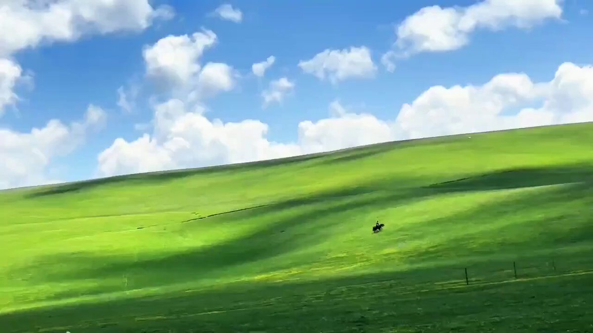 Xinjiang'daki Çayırın Windows Duvar Kağıdı Olduğu İddiası Gündemde