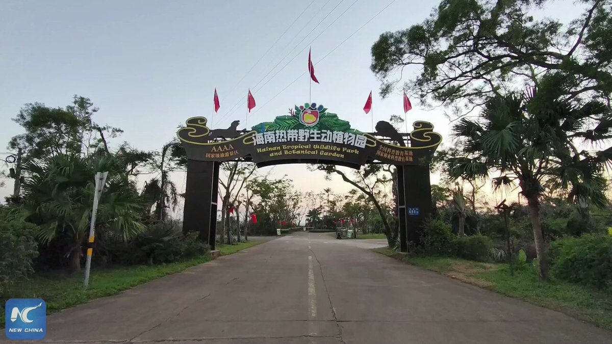 Hainan Tropik Vahşi Yaşam Parkı'na Yeni Sevimli Sakinler Katıldı
