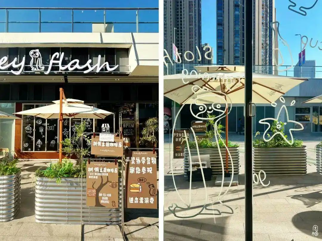 Hangzhou'da Kafe Deneyimi Yeniden Tanımlanıyor: Egzotik Hayvanlı Kafeler Trendi