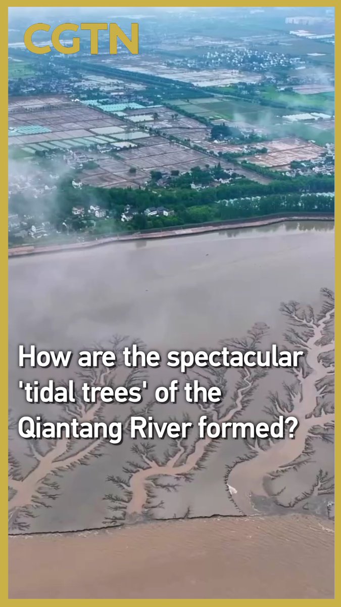 Qiantang Nehri'ndeki 