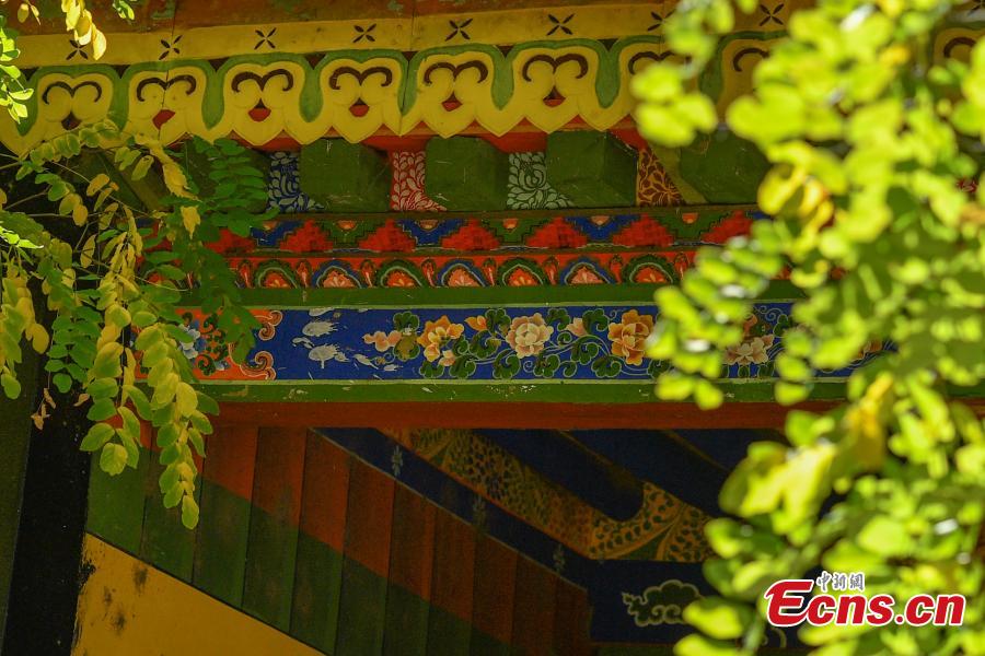 Lhasa'nın Norbulingka Parkı'nda Sonbaharın Altın Güzelliği