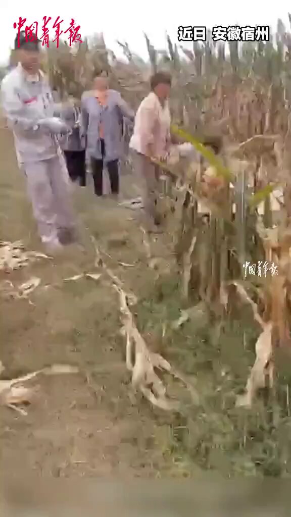 Suzhou'da Kuyuya Düşen Kız Çocuğu Cesur Ekip Tarafından Kurtarıldı