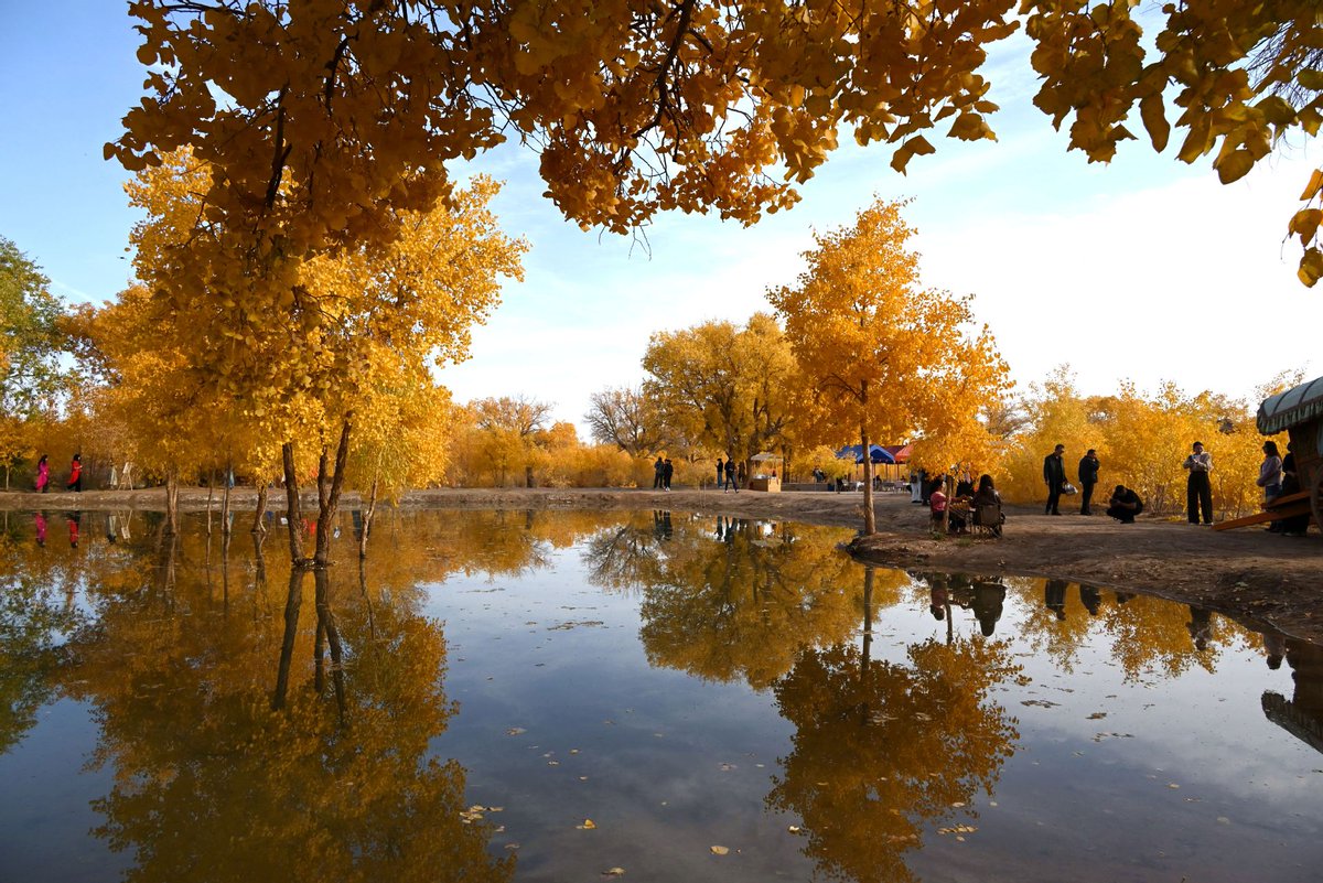 Dunhuang'daki Tuhaf Ormanı Ziyaret Eden Turistler Doğayla İç İçe Zaman Geçiriyor