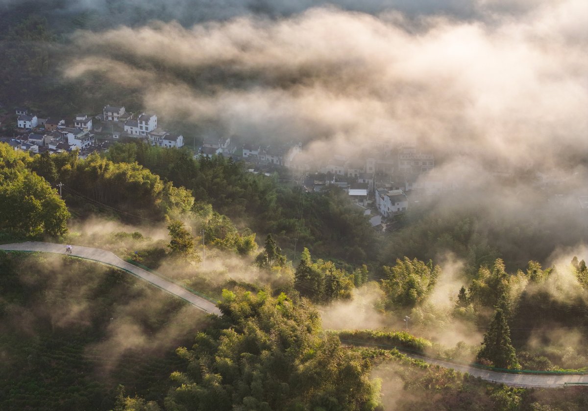 Huangshan'ın Mistik Atmosferi: Yixian İlçesinde Bulutların Arasındaki Bambu Ormanı ve Köy