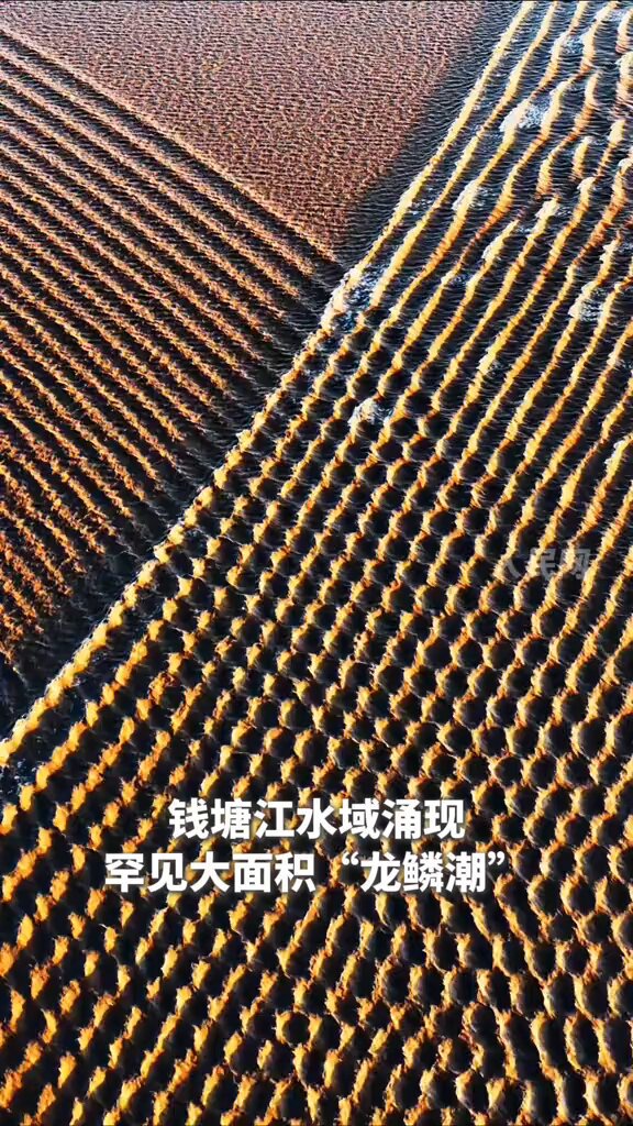 Qiantang Nehri'nde Görsel Şölen: 