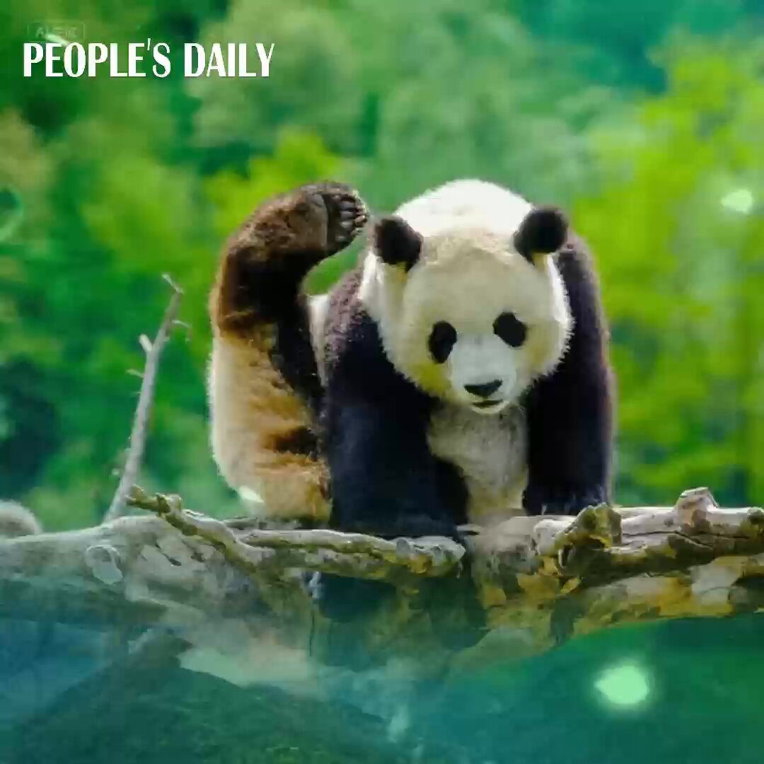Çin 2035 Hedefiyle Dünyanın En Büyük Milli Park Sistemini Kuruyor