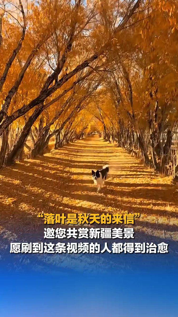 Xinjiang'ın Büyüleyici Sonbahar Manzaraları Görenleri Hayran Bırakıyor