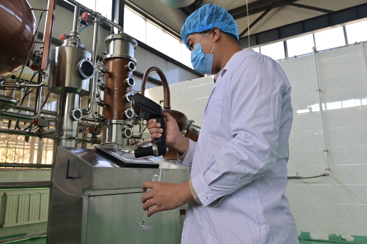 Haicheng'de Nanguo Armutları İşlenerek Katma Değerli Ürünlere Dönüştürülüyor